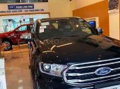 Bán xe Ford Everest năm sản xuất 2020, màu đen, xe nhập