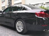 BMW 520i Model 2015, màu đen