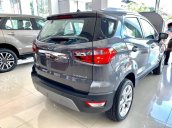 Cần bán lại với giá ưu đãi nhất chiếc Ford EcoSport màu xám đời 2020, giao nhanh toàn quốc