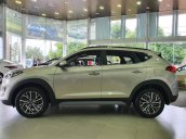 Hyundai Tucson 2.0 đặc biệt - Đắk Lắk - Đắk Nông 878 triệu