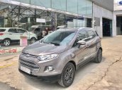 Bán Ford EcoSport năm 2014, màu xám, giá 418tr