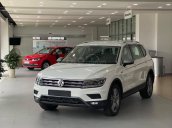 Bán gấp với giá ưu đãi chiếc Volkswagen Tiguan Allspace sản xuất năm 2020