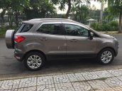 Bán xe Ford EcoSport đời 2015, màu xám