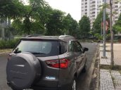 Bán xe Ford EcoSport đời 2015, màu xám