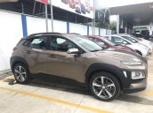 Cần bán xe Hyundai Kona sản xuất năm 2020, xe nhập, giá 679tr