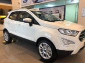 Cần bán Ford Ecosport 2020 phiên bản mới