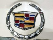 Cần bán xe Cadillac SRX sản xuất 2010, màu trắng, xe nhập, giá chỉ 715 triệu