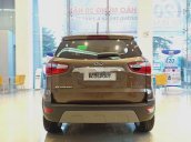 Cần bán xe Ford EcoSport đời 2020, màu nâu