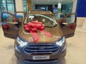 Cần bán xe Ford EcoSport đời 2020, màu nâu