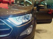 Cần bán xe Ford EcoSport đời 2020, màu nâu