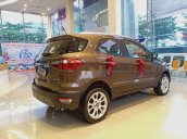 Cần bán xe Ford EcoSport đời 2020, màu nâu