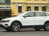 Tiguan Luxury S nhập khẩu nguyên chiếc được hỗ trợ phí trước bạ và quà tặng phụ kiện siêu khủng