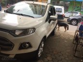 Bán Ford EcoSport năm 2014, giá chỉ 400 triệu