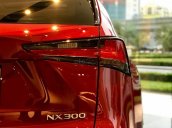 [Siêu ưu đãi] Lexus NX năm 2020 new giá tốt nhất tại Miền Bắc, Bảo hành vàng cùng hàng loạt phụ kiện chính hãng