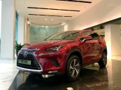 [Siêu ưu đãi] Lexus NX năm 2020 new giá tốt nhất tại Miền Bắc, Bảo hành vàng cùng hàng loạt phụ kiện chính hãng