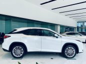 [Siêu ưu đãi] Lexus RX300 năm 2020 new giá tốt nhất tại Miền Bắc, bảo hành vàng cùng hàng loạt phụ kiện chính hãng