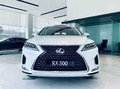 [Siêu ưu đãi] Lexus RX300 năm 2020 new giá tốt nhất tại Miền Bắc, bảo hành vàng cùng hàng loạt phụ kiện chính hãng