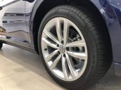 Xe Passat Bluemotion màu xanh - Sedan 5 chỗ nhập Đức - giá tốt - chi phí bảo dưỡng hợp lí - tiết kiệm xăng