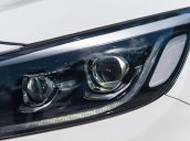 Kia Sedona 2020 sang trọng & tiện nghi - ưu đãi cực lớn về giá và khuyến mãi - giảm thuế trước bạ - ưu đãi lãi suất thấp