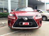 Cần bán Lexus NX 300 sản xuất 2018, nhập khẩu nguyên chiếc