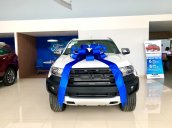 Bán Ford Everest 2020, số tự động