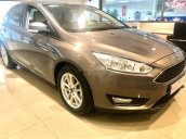 Cần bán lại xe Ford Focus năm sản xuất 2019, màu xám chính chủ, giá chỉ 573 triệu