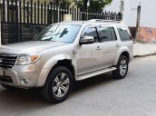 Bán Ford Everest sản xuất năm 2010, màu bạc, xe nhập, 395tr