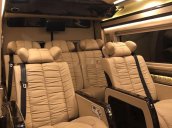 Bán Ford Transit Limousine VIP năm 2019, màu bạc