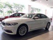 BMW 5 Series 530i 2020, nhập khẩu nguyên chiếc từ Đức, giá tốt nhất hôm nay, kèm ưu đãi khủng, sẵn xe giao ngay