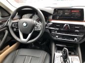 BMW 5 Series 530i 2020, nhập khẩu nguyên chiếc từ Đức, giá tốt nhất hôm nay, kèm ưu đãi khủng, sẵn xe giao ngay