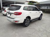 Bán gấp chiếc Ford Everest năm 2019, nhập khẩu nguyên chiếc