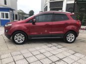 Bán Ford EcoSport năm 2014, xe còn mới