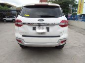 Bán gấp chiếc Ford Everest năm 2019, nhập khẩu nguyên chiếc