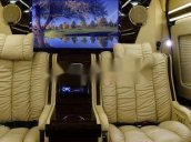 Cần bán xe Ford Transit Limousine năm sản xuất 2020