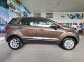 Ford Ecosport 2020 AT lăn bánh chỉ cần 149tr