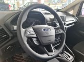 Ford Ecosport 2020 AT lăn bánh chỉ cần 149tr