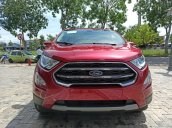 Ford Eccosport ưu đãi chưa từng có (tiền mặt phụ kiện full options) mùa cuối năm