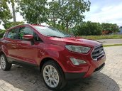 Ford Eccosport ưu đãi chưa từng có (tiền mặt phụ kiện full options) mùa cuối năm