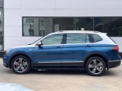 Volkswagen Tiguan Highline SX 2018 ĐK 2019, màu xanh