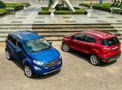 All New Ecosport 2021, ưu đãi trước bạ 100%