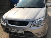 Cần bán gấp Ford Escape 2011, màu bạc, giá tốt