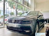 Tiguan Luxury bản Rline màu xám - diện mạo mới - khuyến mãi giá tốt - ngân hàng hỗ trợ 80%