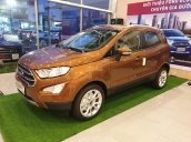 Cần bán gấp với giá thấp chiếc Ford EcoSport năm 2020