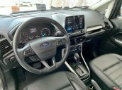 Ford EcoSport - Tặng 100% thuế trước bạ