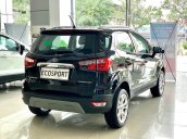 Ford EcoSport - Tặng 100% thuế trước bạ