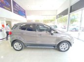 Cần bán Ford EcoSport Titanium đời 2015, màu xám như mới, giá chỉ 435 triệu