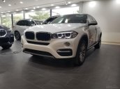 Mãnh thú BMW X6 35i 2018 mới 100% giá cực tốt