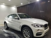 Mãnh thú BMW X6 35i 2018 mới 100% giá cực tốt