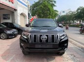 Toyota Prado 2.7 VX sản xuất 2019, màu đen giá tốt