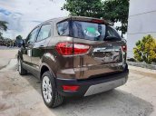 Cần bán Ford EcoSport sản xuất 2020, màu nâu, giá tốt